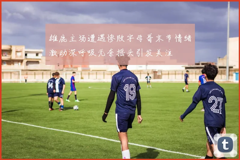 雄鹿主场遭遇惨败字母哥末节情绪激动深呼吸无奈摇头引发关注
